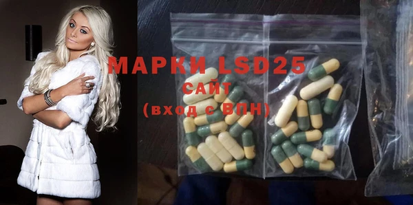 стаф Кодинск