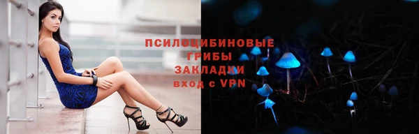 стаф Кодинск