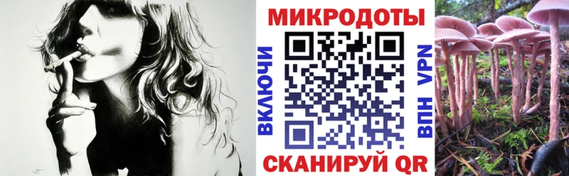 Купить  Южно-Сахалинск  Псилоцибиновые грибы Psilocybe 